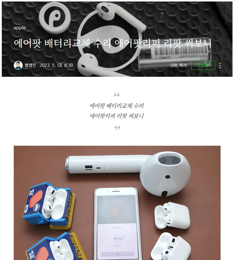 네이버 인플루언서 블로그 리뷰
